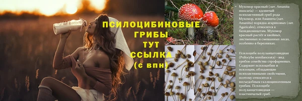 MESCALINE Новодвинск