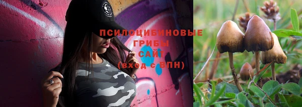 таблы Алексеевка