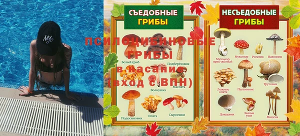 молекула духа Алзамай