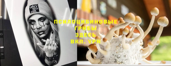 тгк Алексин