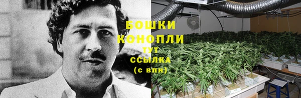 молекула духа Алзамай