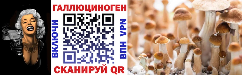 где можно купить   Оханск  Псилоцибиновые грибы прущие грибы 